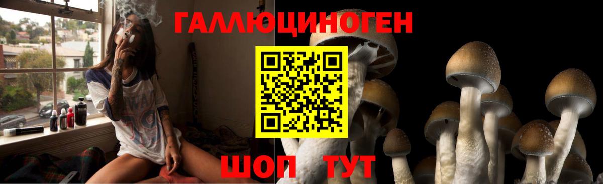 Псилоцибиновые грибы MAGIC MUSHROOMS Наро-Фоминск